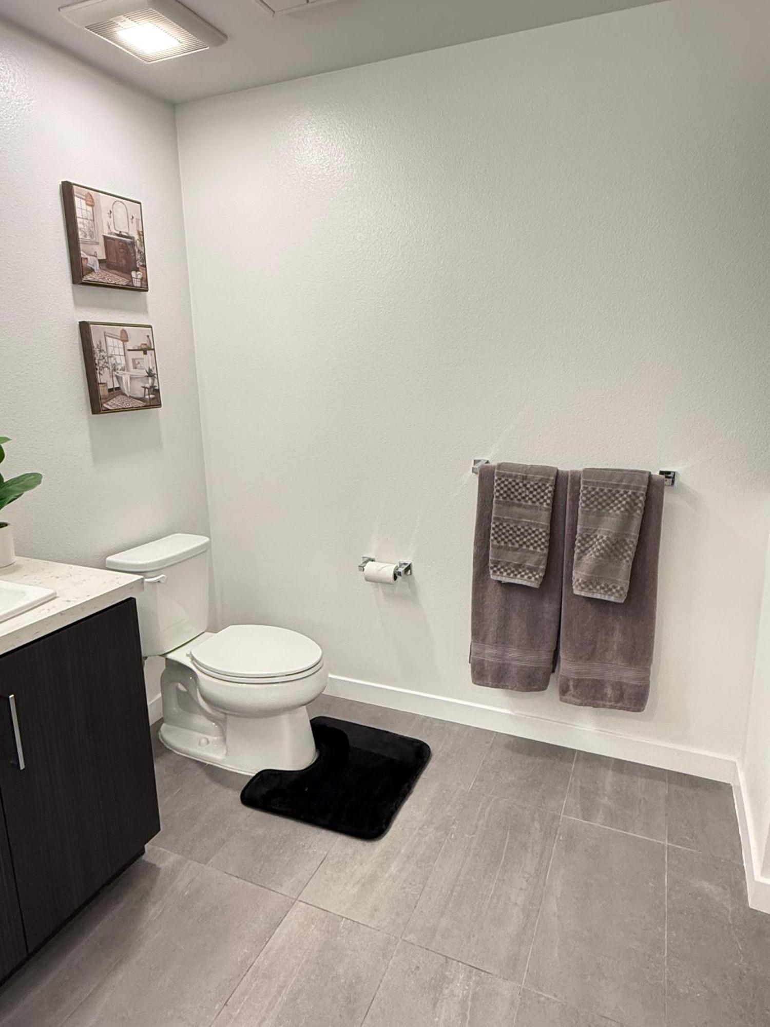 Vine Loft Free Wifi Close To Universal *